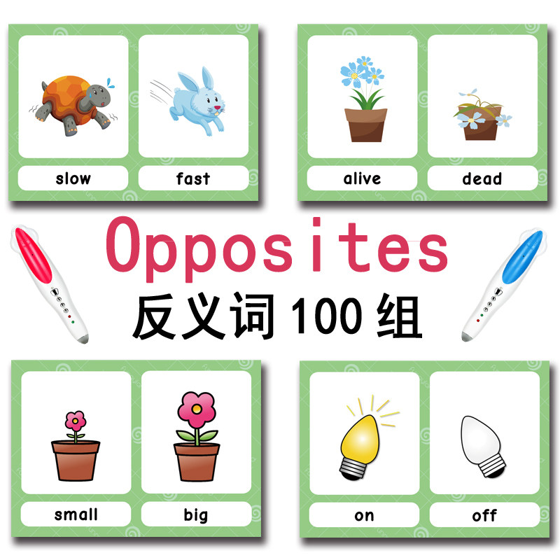 The 100 Groups Opposites Flash - Kids Education Gift ulasan dan harga