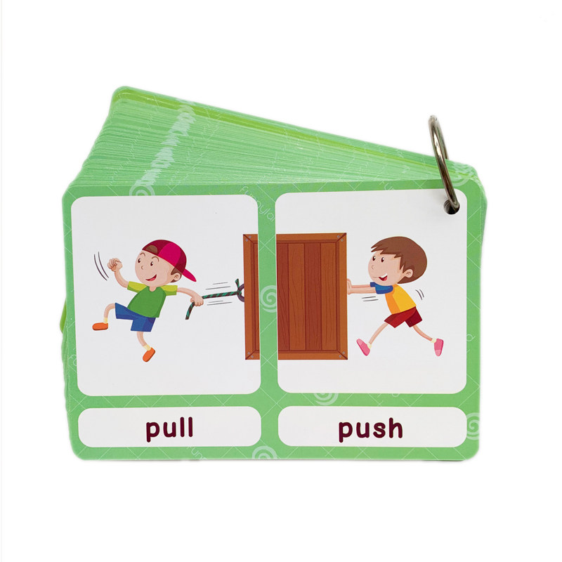 The 100 Groups Opposites Flash - Kids Education Gift ulasan dan harga