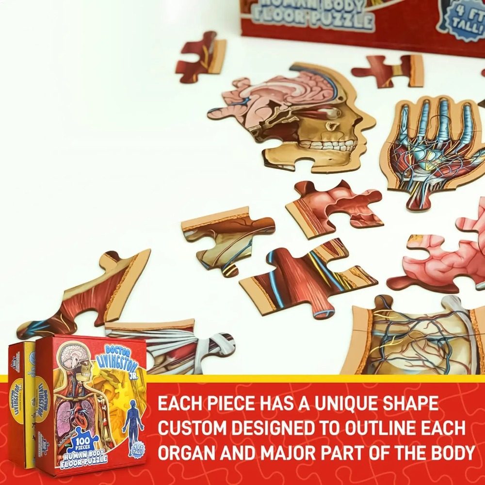 100 Pieces Human Anatomy Puzzl - Human Body Puzzle ulasan dan harga