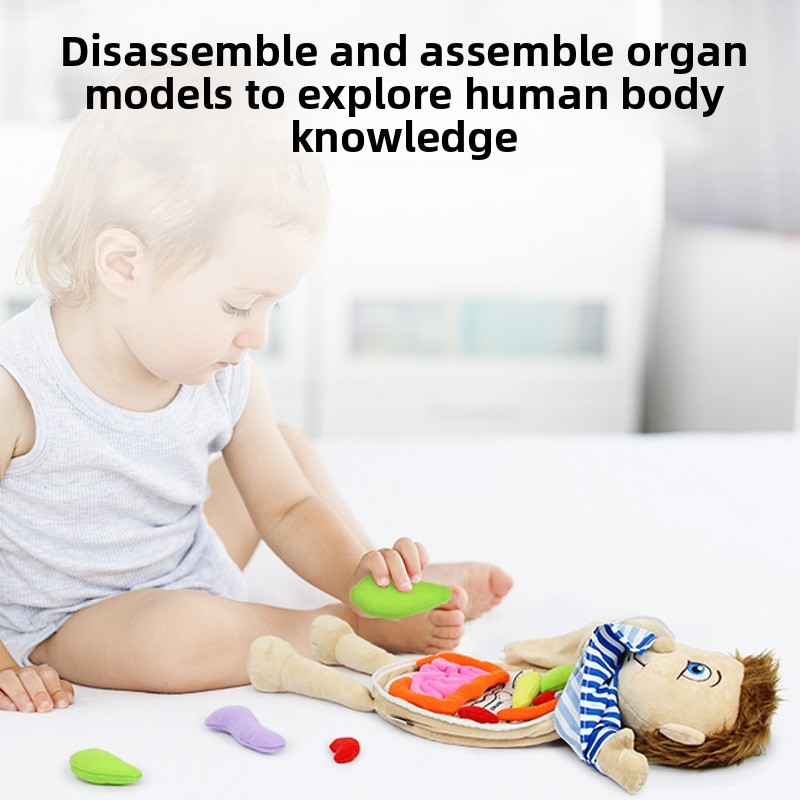 1Pc Human Organ Cognition Puzz - Human Body Puzzle ulasan dan harga
