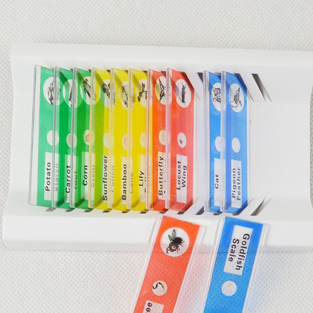 12Pcs Plastic Microscope Slide - Kids Education Level ulasan dan harga