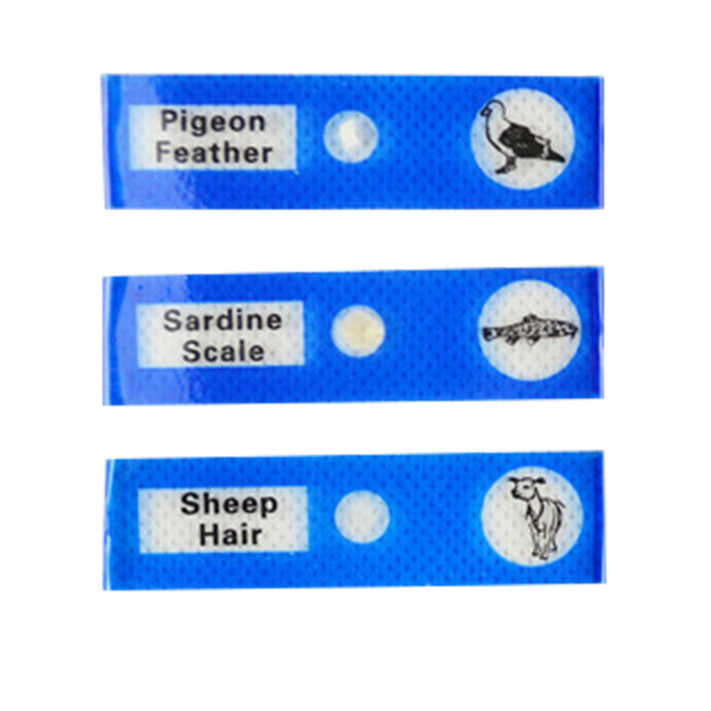 12Pcs Plastic Microscope Slide - Kids Education Level ulasan dan harga