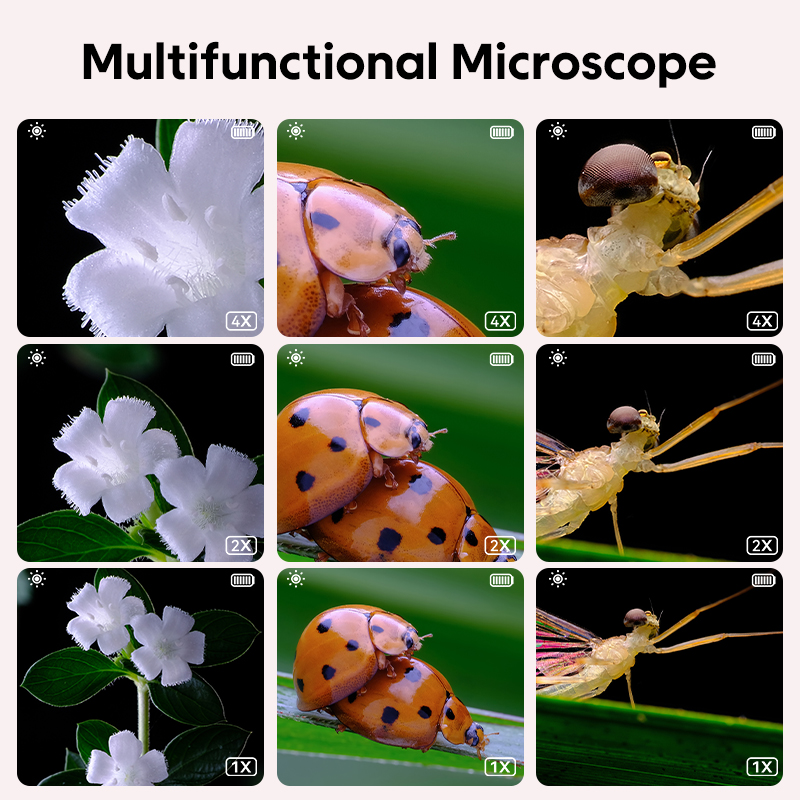 Mini Kids Optical Microscope W - Kids Education Video ulasan dan harga